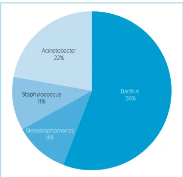 Table 2 shows the results of the quantification of microbial popu- popu-lations. As expected, their quantity was higher in the sludge than in  the water