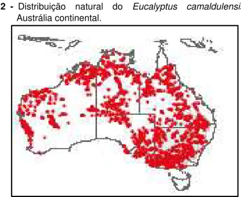 Figura  2  -  Distribuição    natural    do    Eucalyptus    camaldulensis    Dehnh.    na  Austrália continental