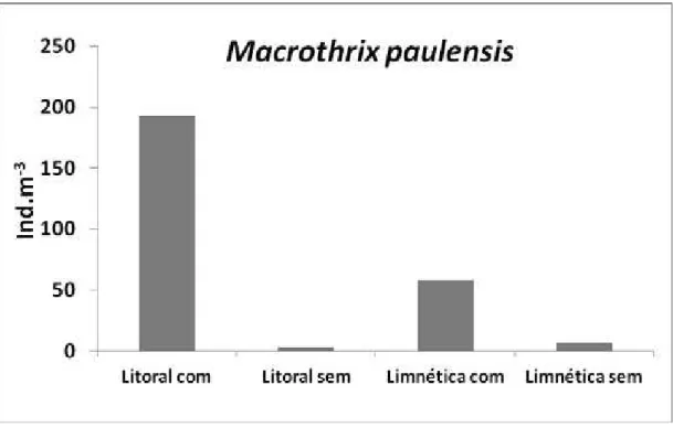 Figura 12. Médias das densidades (Ind.m-³) de Macrothrix paulensis nas  zonas litorâneas e limnéticas dos tanques com e sem macrófitas