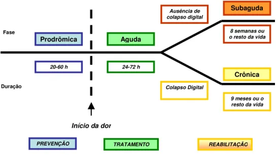 Figura 6 – Esquema ilustrativo da duração e objetivos terapêuticos nos quatro estágios  da  laminite:  prodrômico,  agudo,  subagudo  e  crônico  (adaptado  de  HOOD,  1999a)