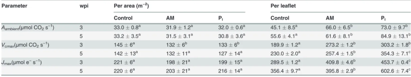 Table 4. The photosynthetic parameters of leaves from control, mycorrhized (AM) and phosphate-fertilized plants (P i ).