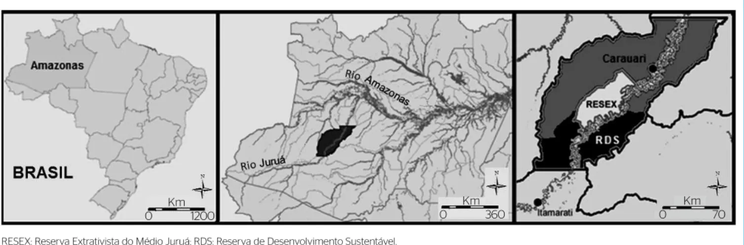 Figura 1 – Localização geográfica da Reserva Extrativista do Médio Juruá e da Reserva de Desenvolvimento Sustentável, no município de Carauari,  estado do Amazonas.