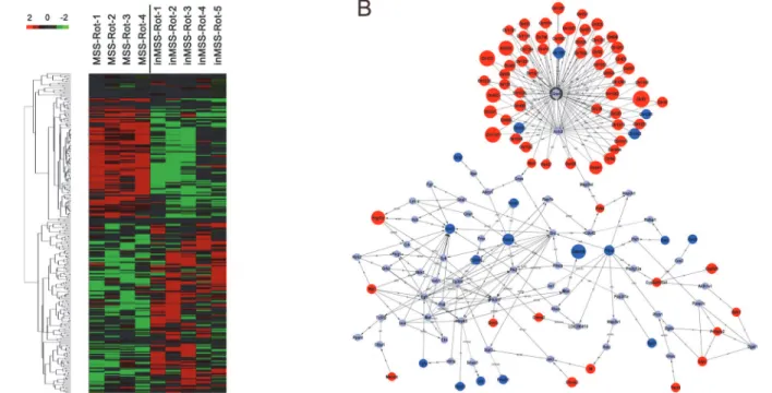 Fig 3. Hierarchical clustering of the signal value and signaling regulatory network of the differentially expressed genes