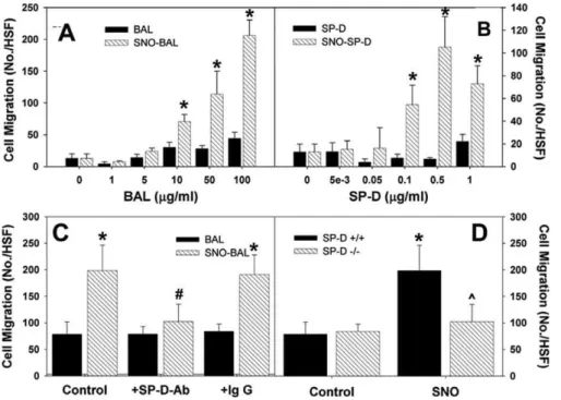 Figure 3. SNO-SP-D Formation In Vitro and Its Effect on Multimerization
