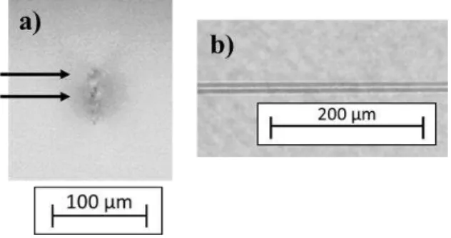 Fig. 2. Images of the structure recorded in LiNbO 3  captured by transmission microscopy: (a) cross-sectional image of the  crystal showing the structure of approximately 50 µm of width; (b) image of the structure formed by double lines in a top 