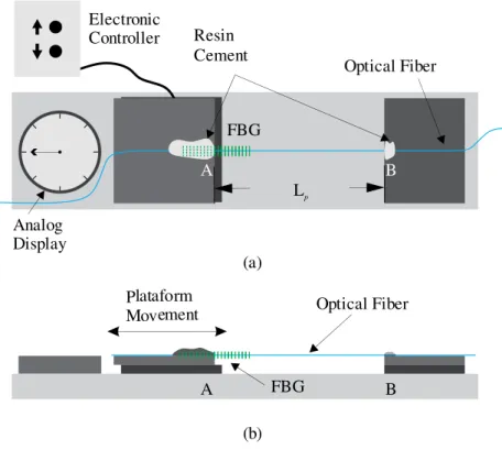 Fig. 1. Schematic diagram of the experimental setup:(a) top view and (b) side view. Elements in the diagram are out of scale