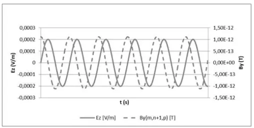 Fig. 7. Example of electric field (E z ) resulting from calculation and comparison with magnetic flow density vector (B y )