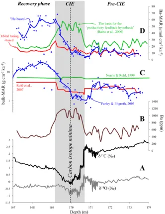 Fig. 2. (A) Bulk δ 13 C and δ 18 O values during the PETM interval vs. depth (m) at ODP site 690 (Bains et al., 1999)
