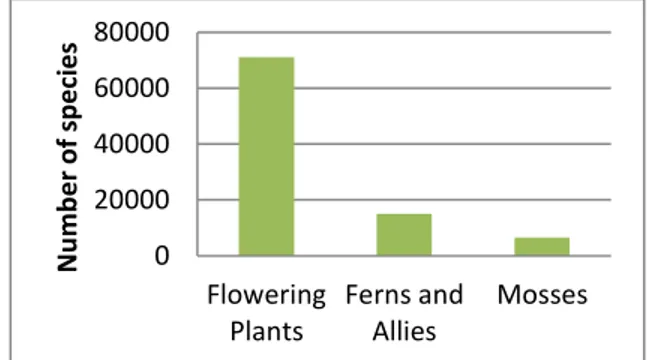 Fig. 1. Column charts number of unidentified plant species 