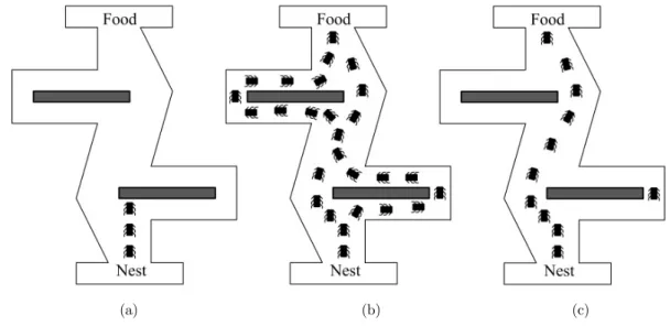Figure 11: Ant colony algorithm concept. (a) start searching for food, (b) searching   all available (short or long) ways, (c) choosing the shortest way (Bachir et al