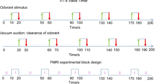 Figure 5. Odorant applicator sequences controlled by VT-8 Warner Timer software and fMRI experimental block design