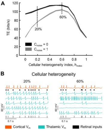 Figure 6. Cellular heterogeneity improves the retinocortical signal transfer in computo 