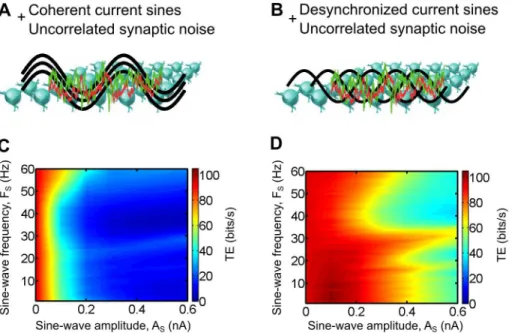 Figure 7. Impact of thalamocortical oscillations on the retinocortical information transfer efficiency in computo 