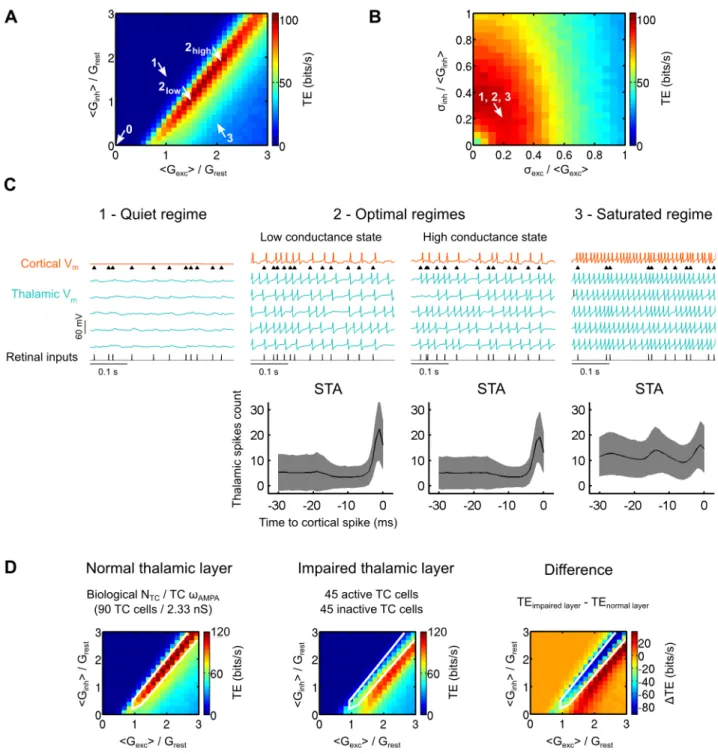 Figure 3. Background synaptic bombardment tunes the retinocortical signal transfer in computo 