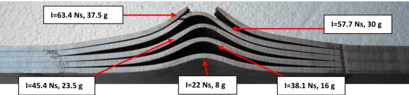 Figure 2: Photographs of the cross-sections of blast tested single plates 
