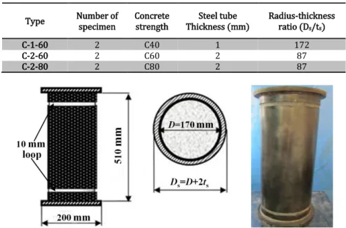 Table 1: Basic Information of Test Specimen. 
