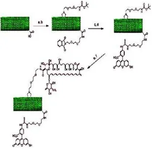 Fig.  2.  One  of  the  routes  to  the  bifunctionalization  of  CNTs.