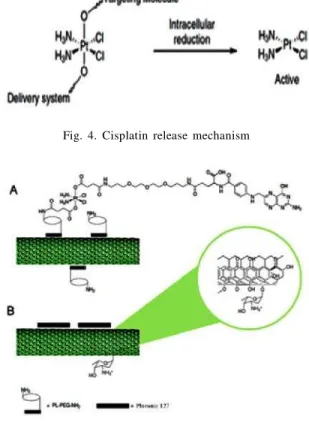 Fig.  4.  Cisplatin  release  mechanism