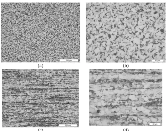 Figure 4: Micrographies: transversal: (a) 200X; (b) 500X; longitudinal: (c) 200X; (d) 500X