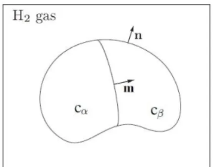 Figure 1: Two-phase metal-hydride system in a hydrogen gas environment. 