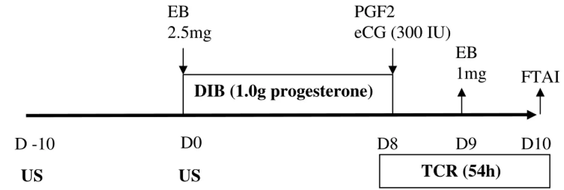 Figure 1.  Protocol PEPE/TCR/eCG. US: ultrasonography; PGF2: prostaglandin  F2Į; 