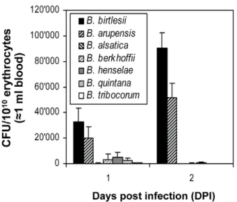 Table S1 lists the loci inactivated by single transposon insertion in the remaining 45 abacteremic mutants