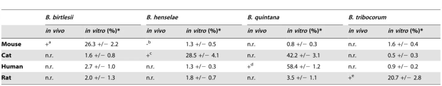 Table 1. Efficiency of erythrocyte colonization according to host origin and Bartonella species.
