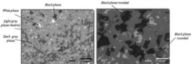 Figure 2b (SO2C sample at 1000x magnification) indicates the  occurrence of more severe pull-out that includes SiC grains.
