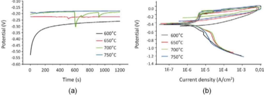 Figure 3. Curves obtained in the corrosion test in synthetic marine environment to 60,000 ppm Cl- of the  13Cr1Ni0.15C steel
