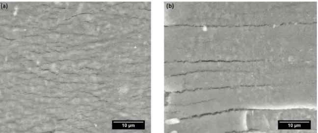 Figure 6. SEM micrographs of the nanotubes layer after the fatigue tests: (a) annealed at 450°C (anatase structure) and (b) annealed at  650°C (rutile structure).