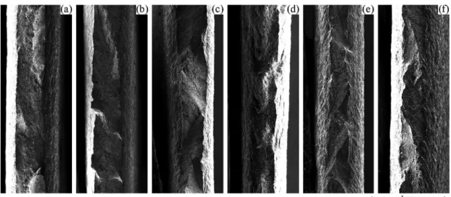 Figure 5. SEM images on a macro scale of the tensile test fracture surface of AISI 304 samples tested at 25ºC (a), 50ºC (b), 75ºC (c),  100ºC (d), 125ºC (e) and 150ºC (f).