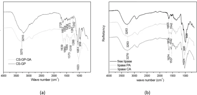 Figure 3. (a) Fourier Transformed Infrared Specta of (black) chitosan-glycerol phosphate support, and (grey) chitosan-glycerol phosphate  crosslinked with glutaraldehyde