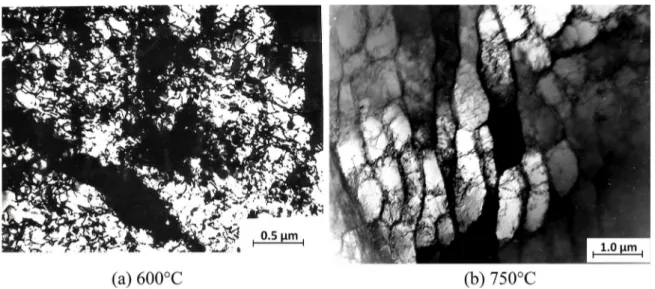 Figure 4. TEM fractographs of dislocation substructures at: (a) 600ºC and (b) 750ºC in creep tested 316 steel.