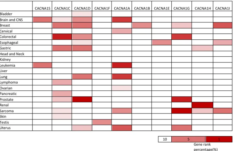 Fig 1. Expression of voltage-gated calcium channel (VGCC) genes in different types of cancer