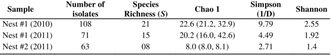 Table 3.2 Abundance of isolates, species richness and diversity indexes of yeasts isolated  from integument of males of Atta sexdens rubropilosa in two nests and two consecutives  mating flights
