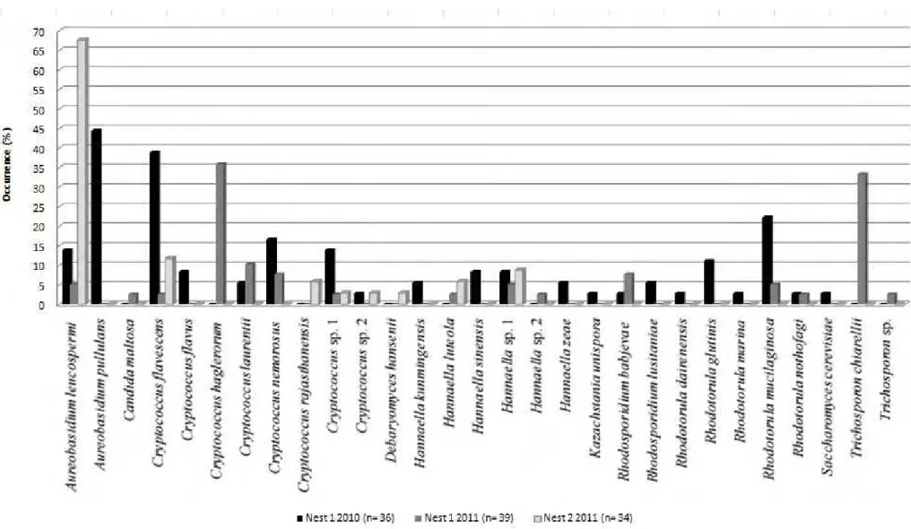 Fig. 3.2 Proportion of yeasts found on the integument of males of Atta sexdens rubropilosa from two different nests collected in consecutive  mating flights (2010 and 2011)
