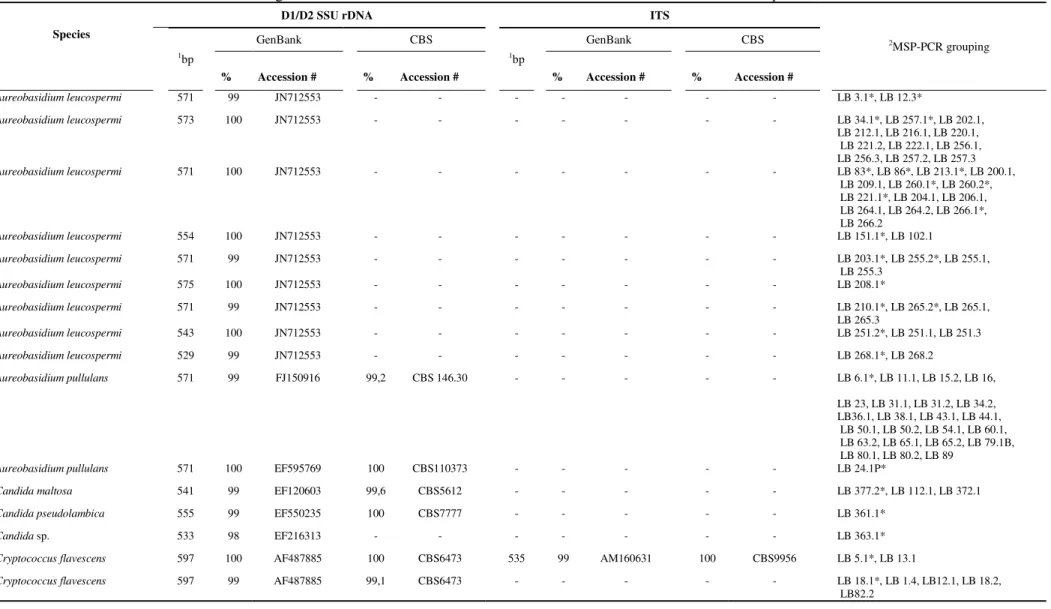 TABLE S3.1 Yeast identification according to molecular markers of strains isolated from males of Atta sexdens rubropilosa 