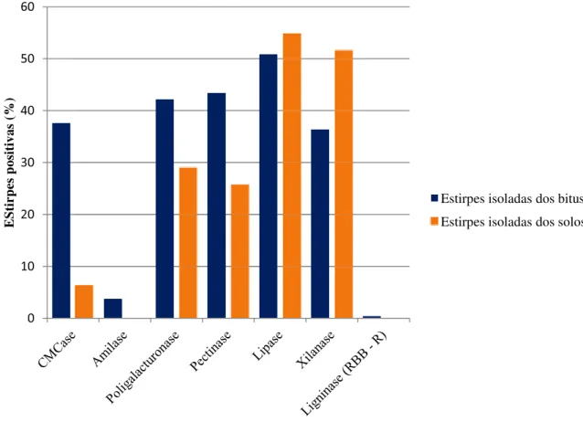 Figura 4.1 – Proporção de estirpes de leveduras isoladas do integumento dos bitus de Atta  sexdens rubropilosa e de amostras de solos, positivas para produção de enzimas.