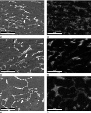 Figure 5.  BSE images of the step 1 (a), step 3 (c) and  step 6 (e). 
