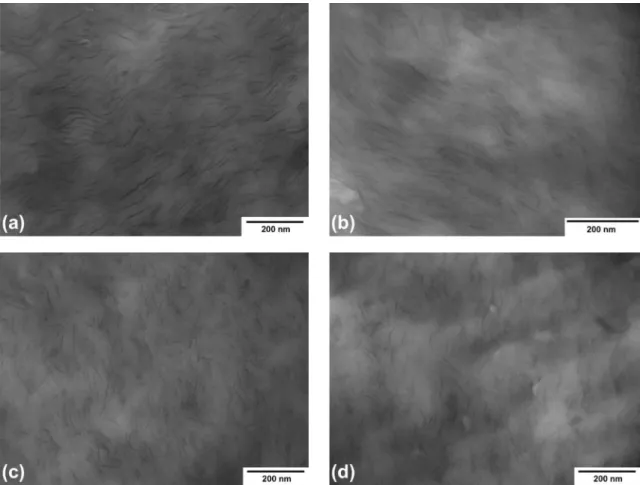 Figure 5. TEM micrographs of the PA6/oMMT blown films obtained in different processing conditions: (a) C1; (b) C2; (c) C3; (d) C4.