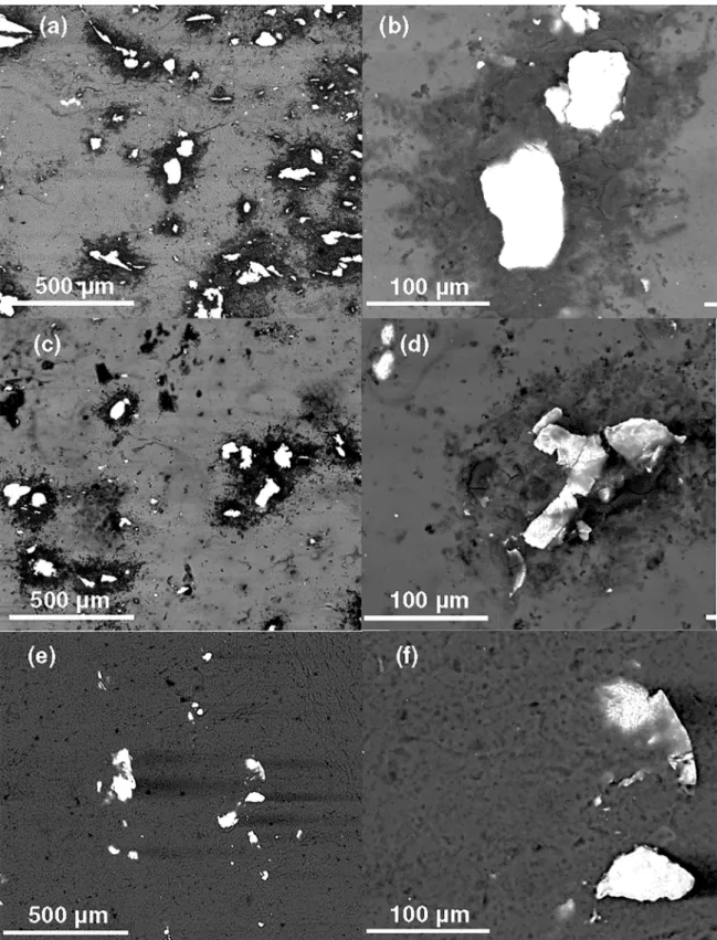 Figure 2. BSE-SEM micrographs (25 kV/9.8 mm - work distance/5.0 - spot) of Mg-8 mol% Fe samples after processing by ECR + ARB,  with the folowing morphologies for Fe: (a, b,) LCNT, (c,d) LFRG and (e,f) PWDR.