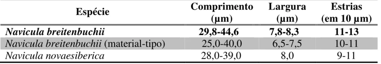 Tabela 4. Tabela comparativa das medidas de Navicula breitenbuchii e espécie  semelhante (N