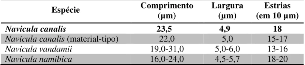 Tabela  5.  Tabela  comparativa  das  medidas  de  Navicula  canalis  e  espécie  semelhante  (N