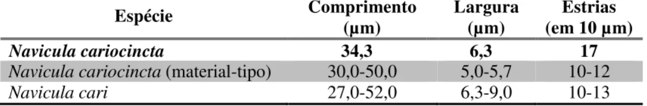 Tabela  7.  Tabela  comparativa  das  medidas  de  Navicula  cariocincta  e  espécie  semelhante (N