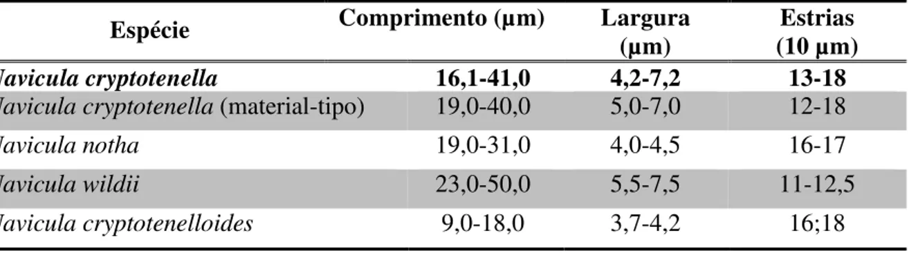 Tabela  10.  Tabela  comparativa  das  medidas  de  Navicula  cryptotenella  e  espécies  semelhantes (N