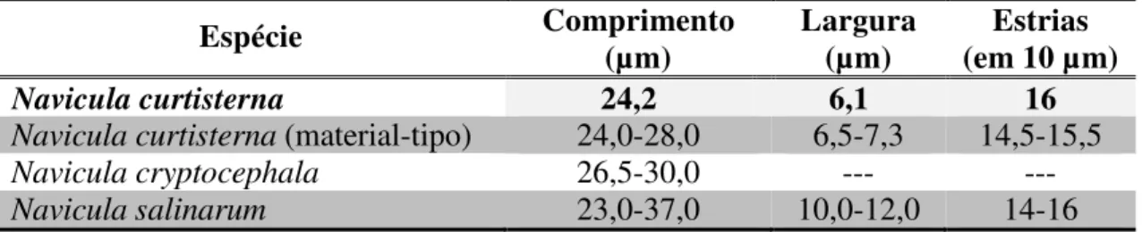 Tabela  11.  Tabela  comparativa  das  medidas  de  Navicula  curtisterna  e  de  espécies  semelhantes (N