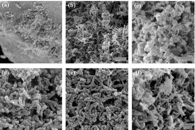 Figure 4. TiO 2  coated MWCNT obtained using 28 %wt. of MWCNT and a TTIP:H 2 O molar ratio of: (a) 1:60, (b) 1:220, (c) 1:340