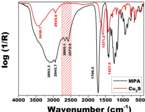 Figure 3. Infrared spectra of the Cu 2 S and MPA sample.