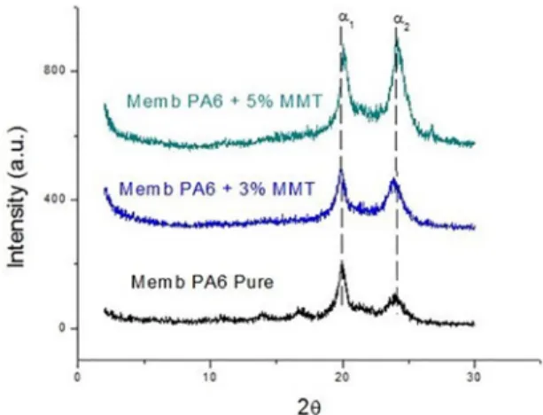 Figure 3. XRD patterns of the membranes PA6 and its nanocomposites  with different clay content (3 and 5%)