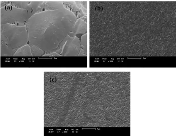 Figure 4. SEM images of the membranes surface of: (a) PA6; (b) PA6 + 3% MMT; and (c) PA6 + 5% MMT